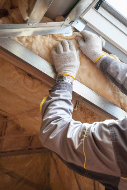 Best Eco-Friendly Insulation in Fortville, IN
