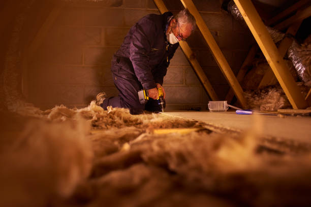 Best Eco-Friendly Insulation in Fortville, IN